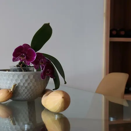 度假居 Casa Do Alpendre