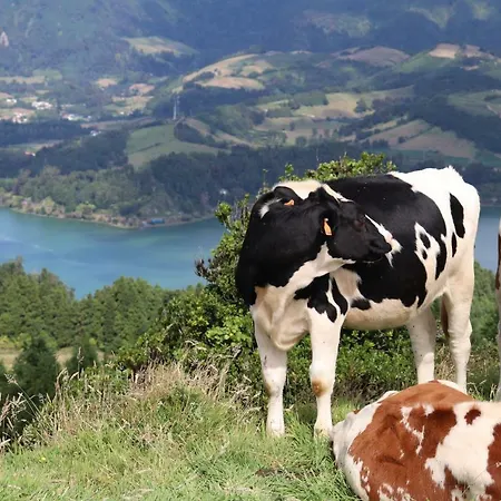 Casa Do Alpendre 度假居