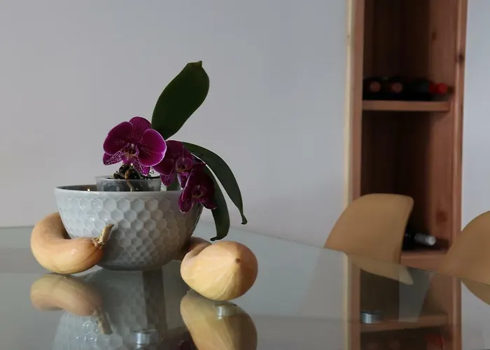 度假居 Casa Do Alpendre