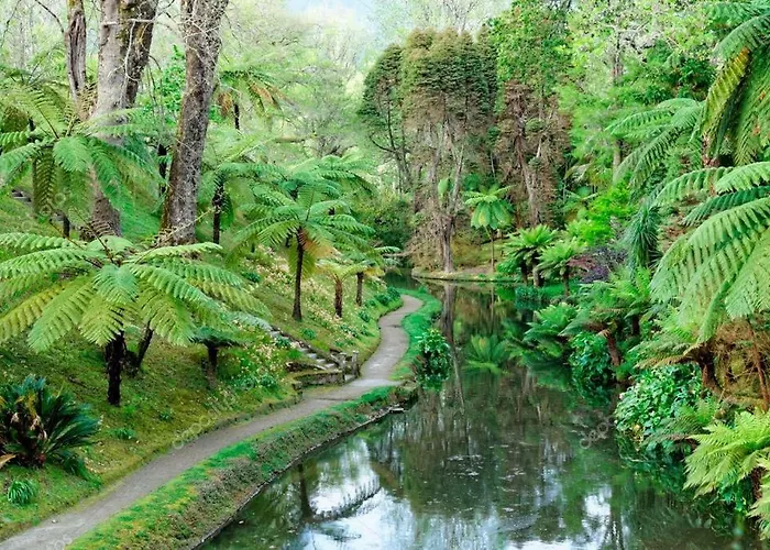 Casa Do Alpendre 富尔纳斯