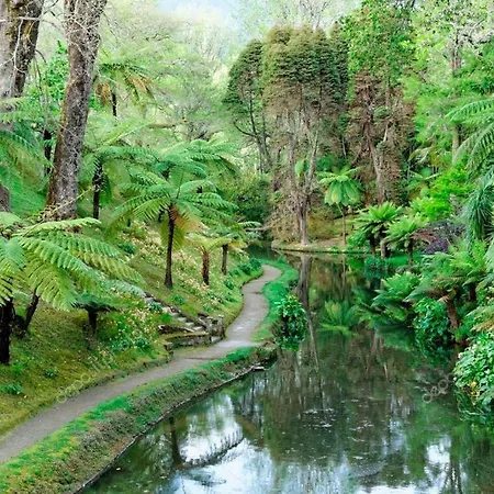 Casa Do Alpendre Furnas (Azores)