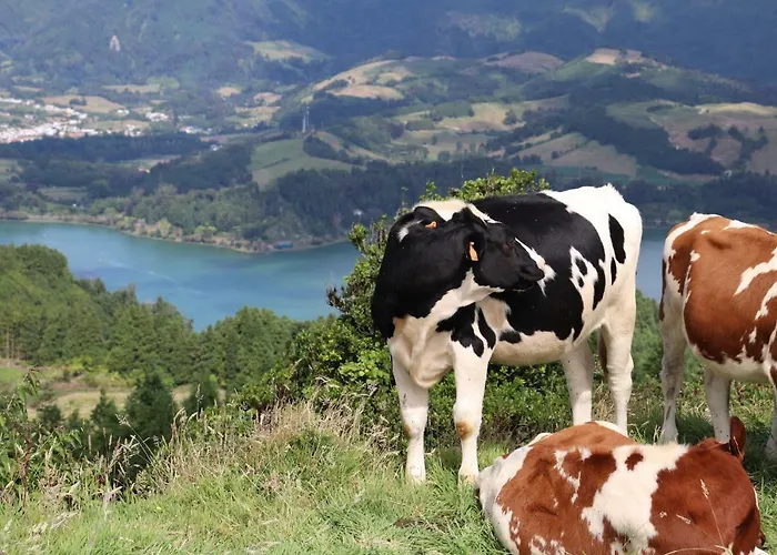 Casa Do Alpendre Сasa de vacaciones